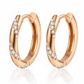 Pave Moissanite Hoop Earrings in Champion Gold-Plated S925 sterling silver white background product photo showing the pair, stone shape, and hoop earrings silhouette